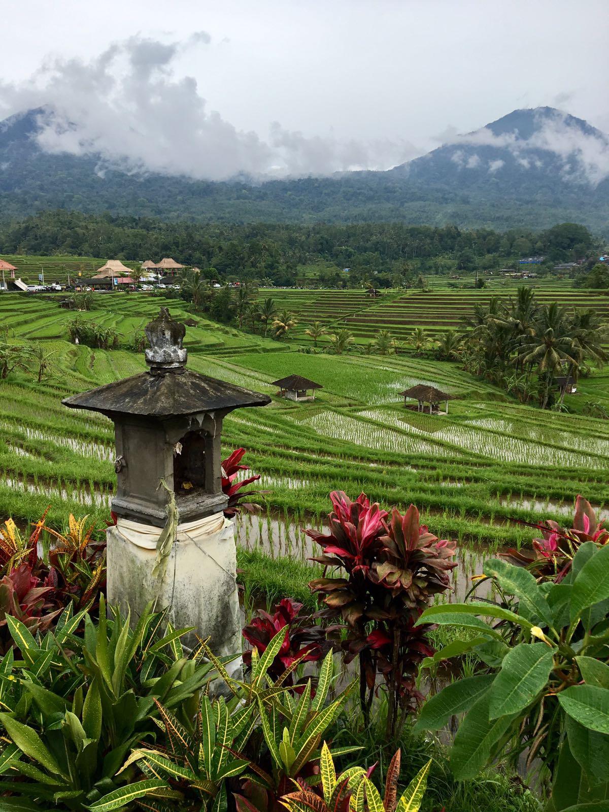 UNESCO Reisterrassen